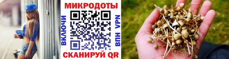 Купить закладки  Сорск  Псилоцибиновые грибы Cubensis 